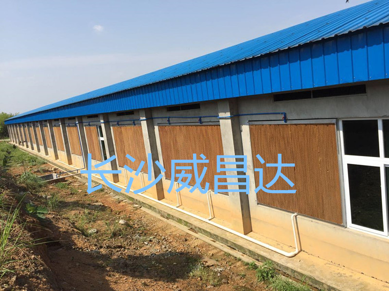 夏季燒烤模式開(kāi)啟，您的養(yǎng)殖畜禽舍降溫了嗎？湖南水簾風(fēng)機(jī)專(zhuān)業(yè)為養(yǎng)殖畜禽舍降溫