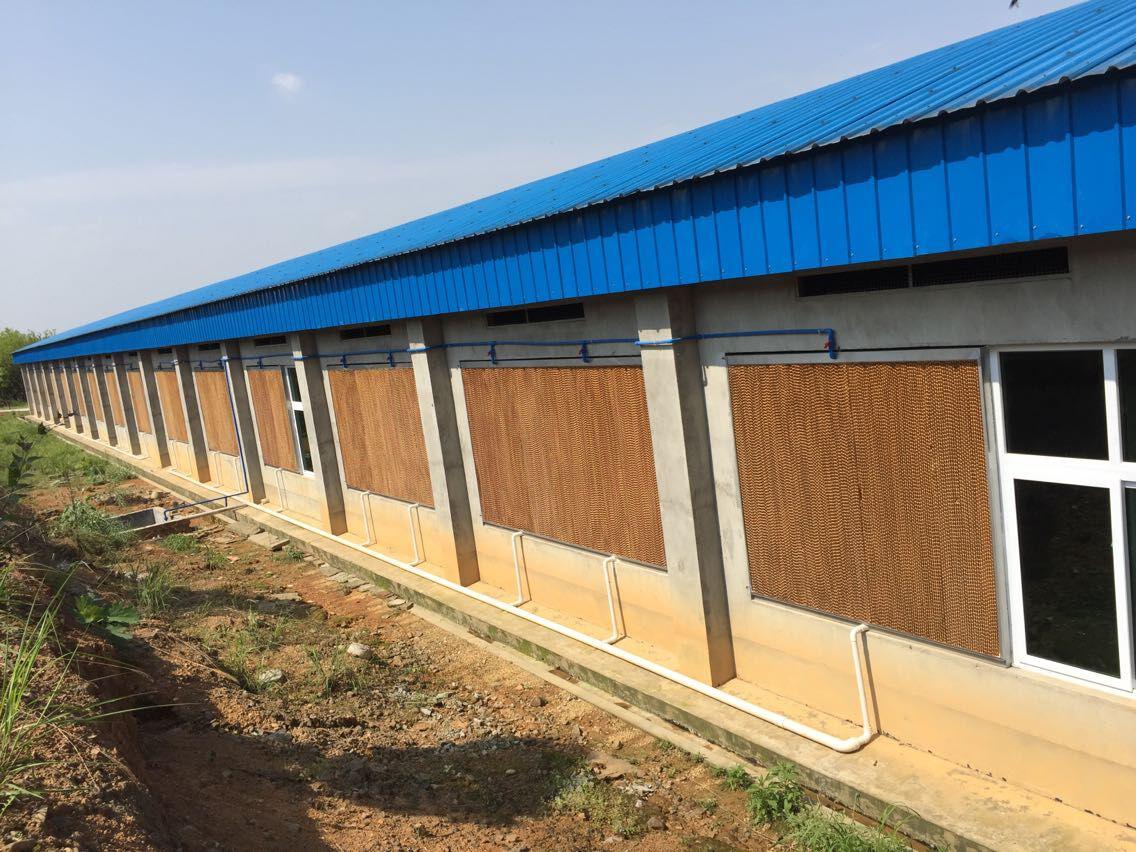 水簾風(fēng)機(jī),養(yǎng)殖降溫