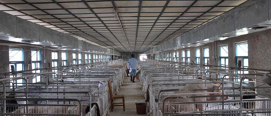 東莞環(huán)?？照{(diào)安裝